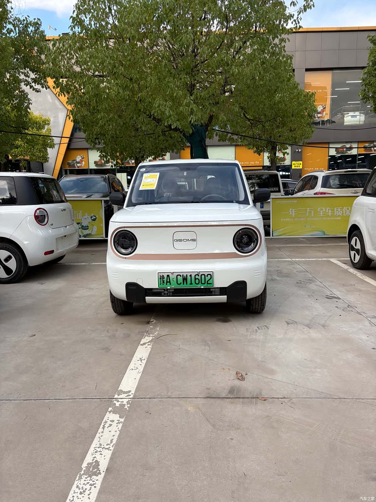 Geely Panda, 2026 2