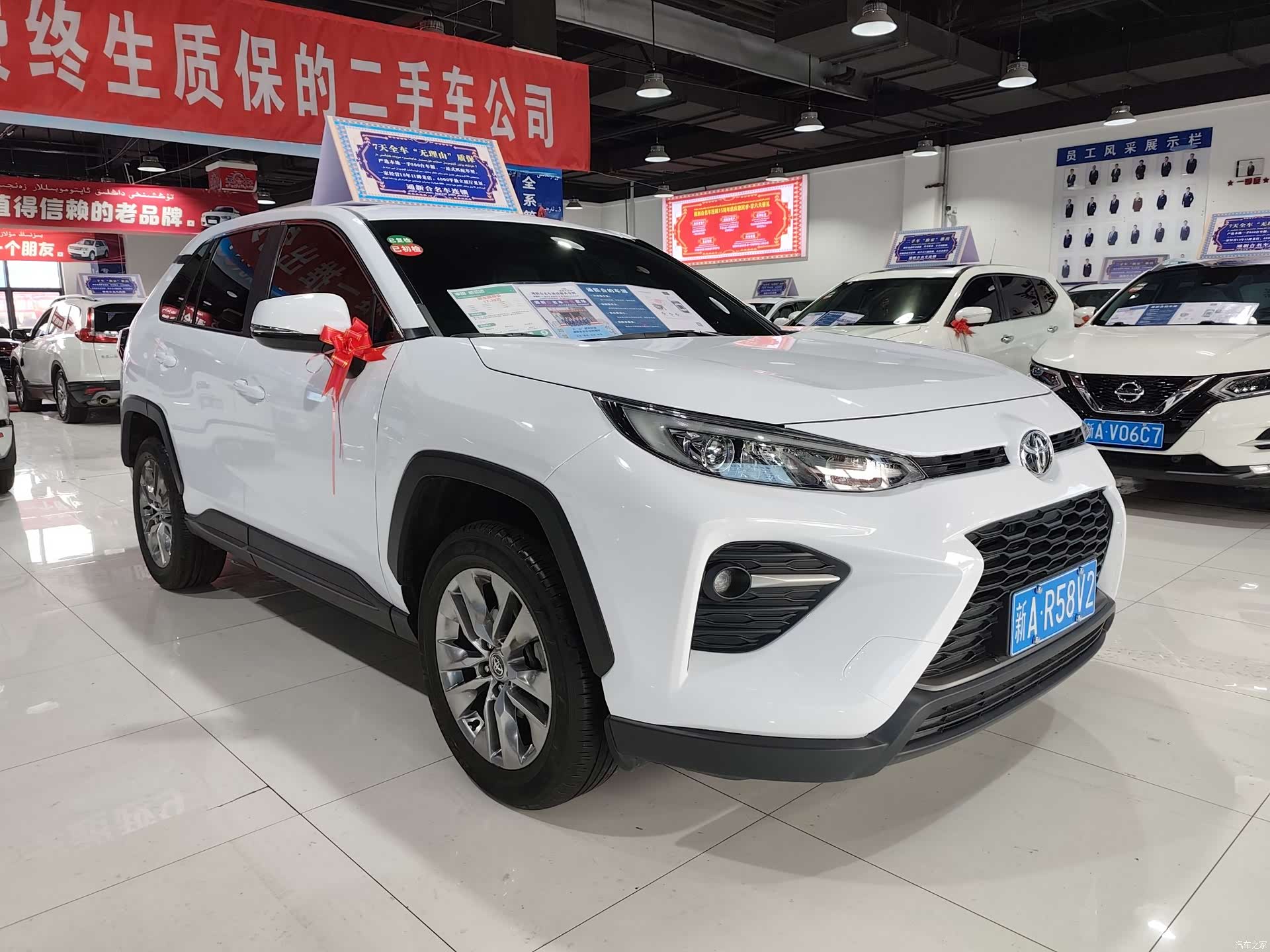 Toyota Wildlander, 2023 3