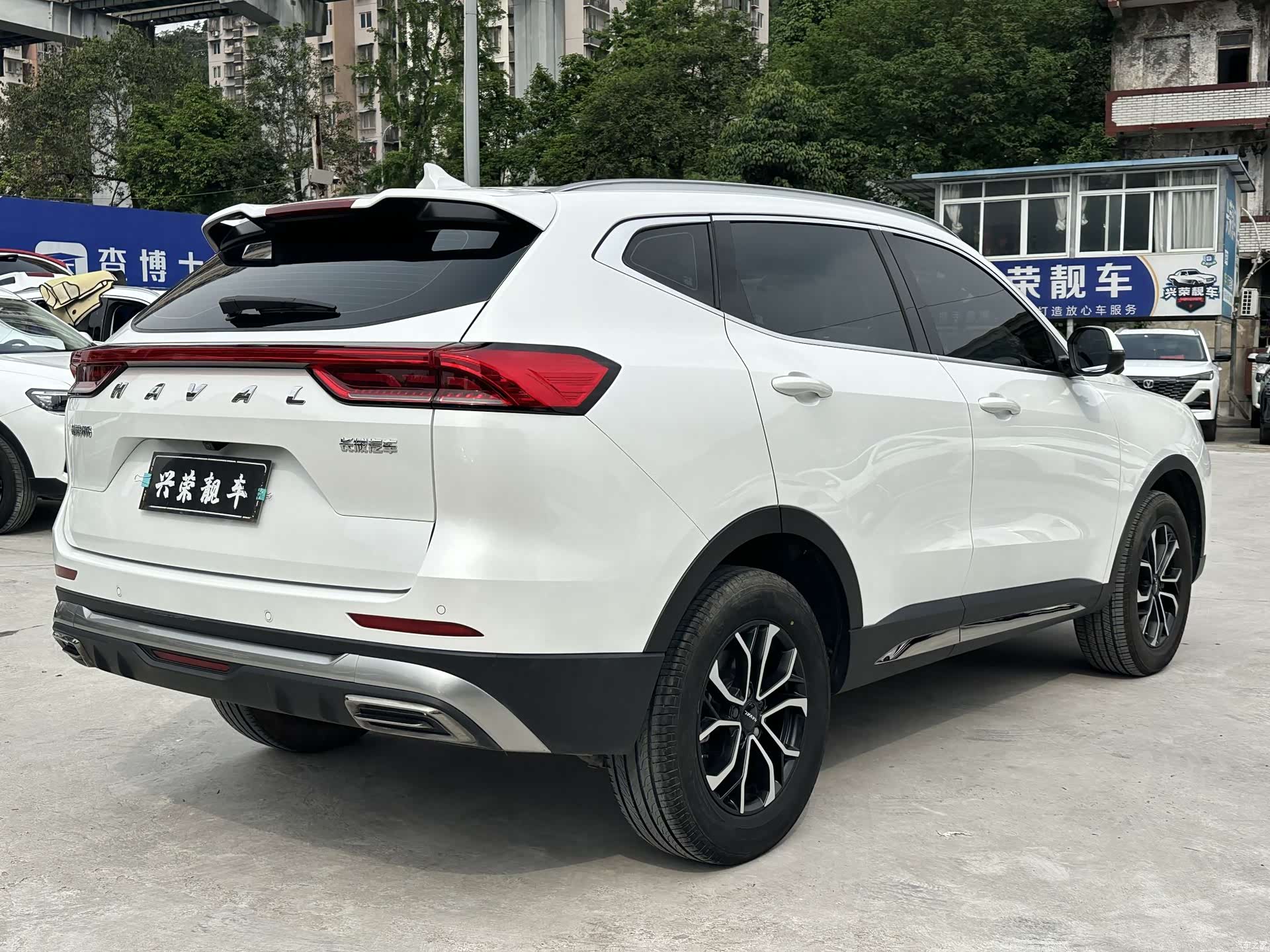 Haval H6, 2024 все фото
