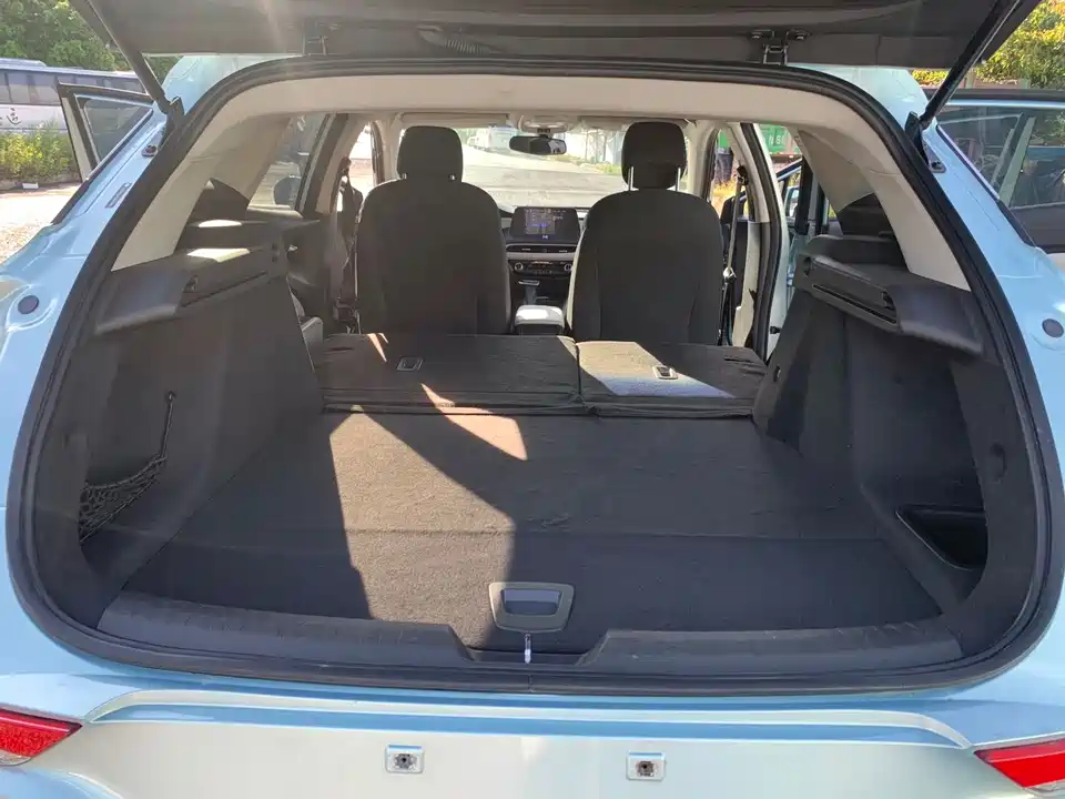 Buick Slightly blue 6