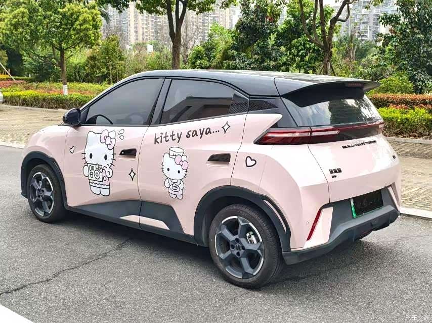 BYD Seagull, 2024 все фото