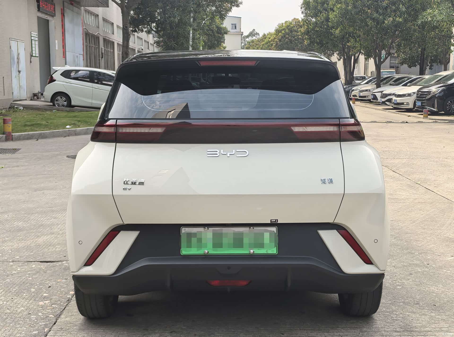 BYD Seagull, 2024 все фото