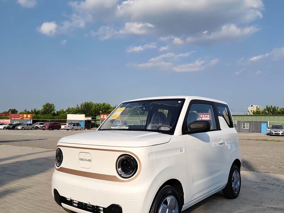 Geely Galaxy panda