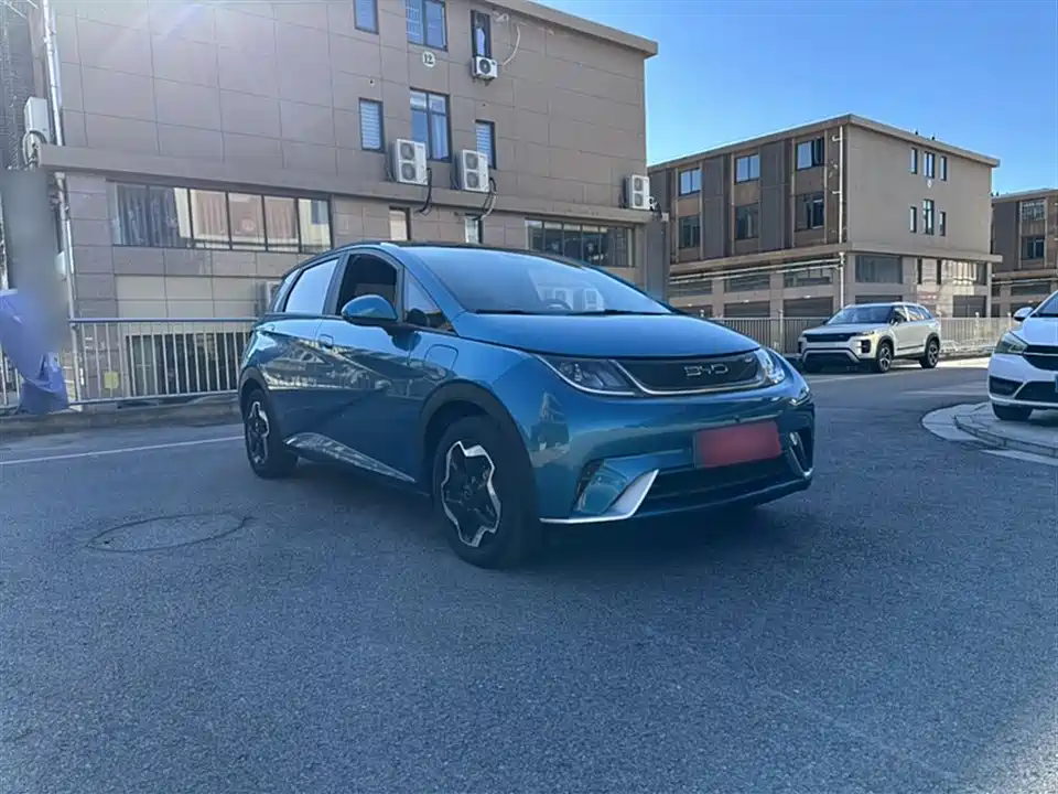 BYD dolphin
