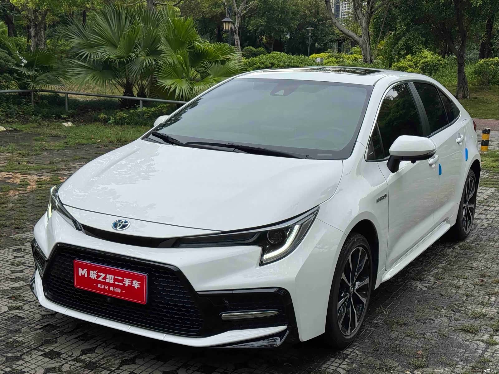 Toyota Levin