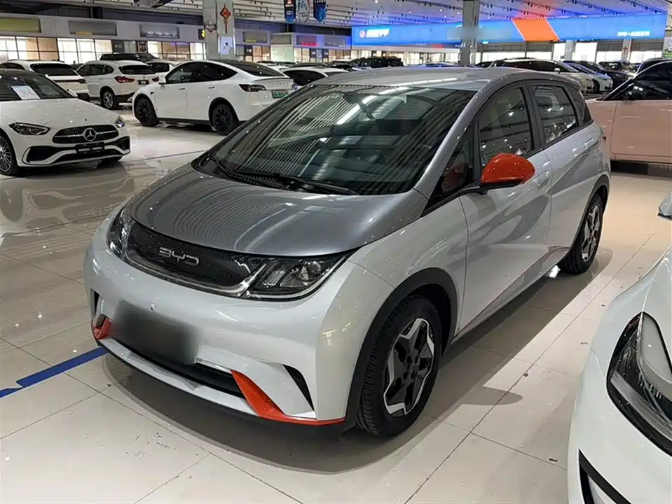 BYD dolphin