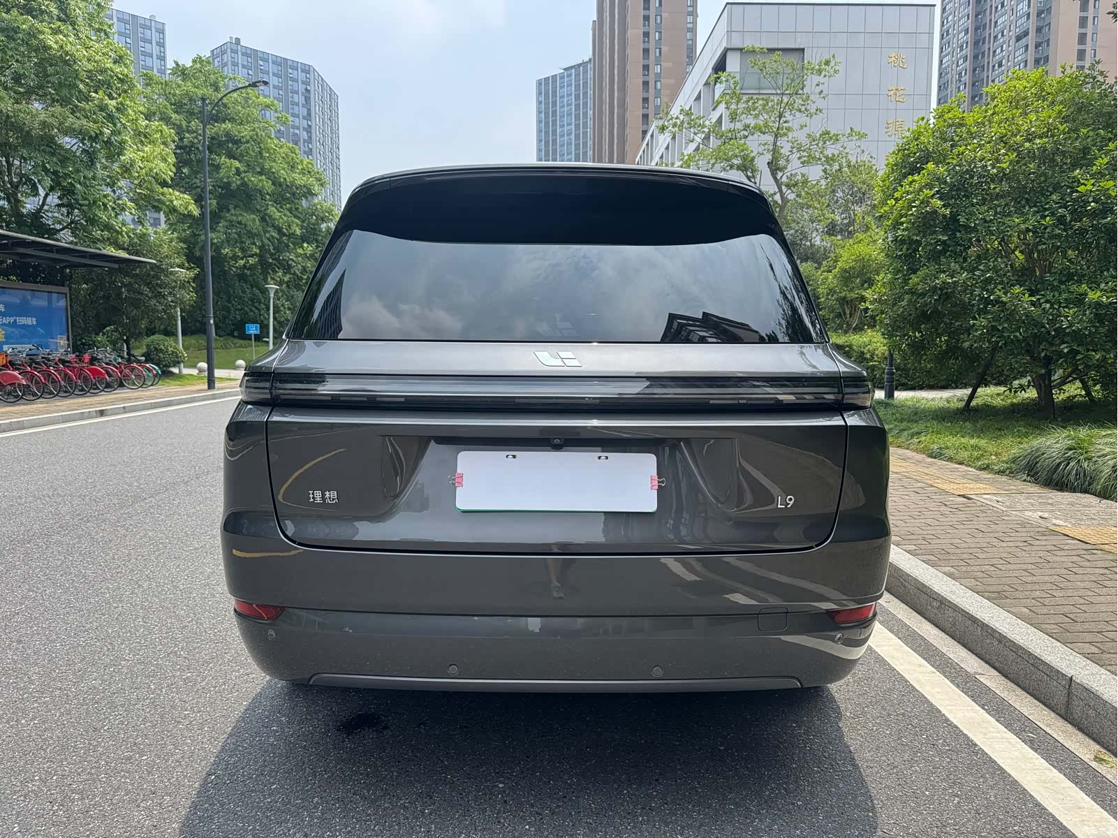 Li Auto L9, 2022 4