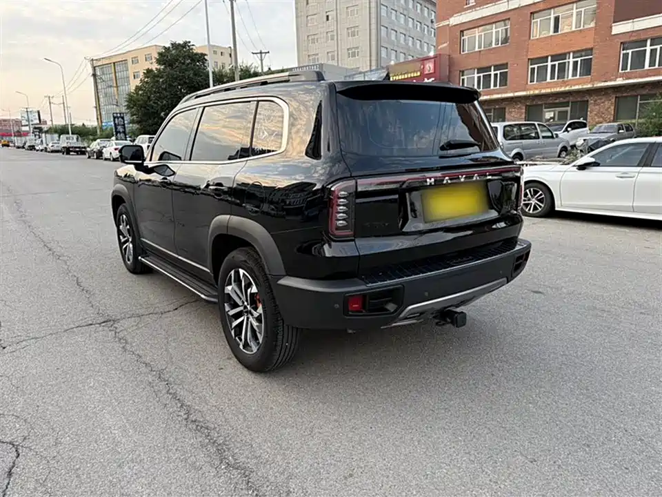Haval Big dog