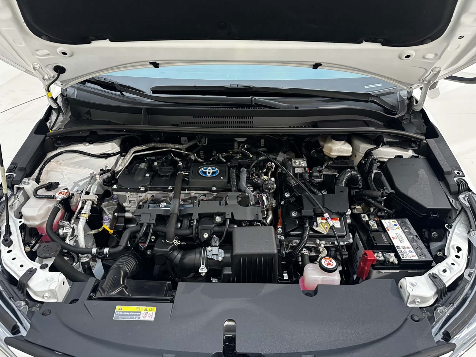 Toyota Levin, 2023 21