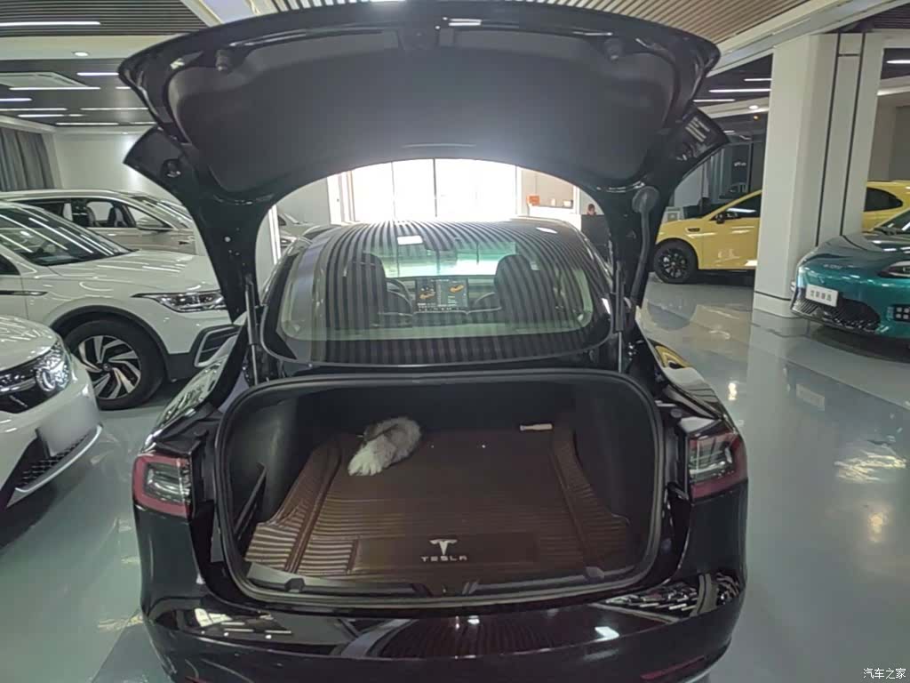 Tesla Model 3, 2020 19