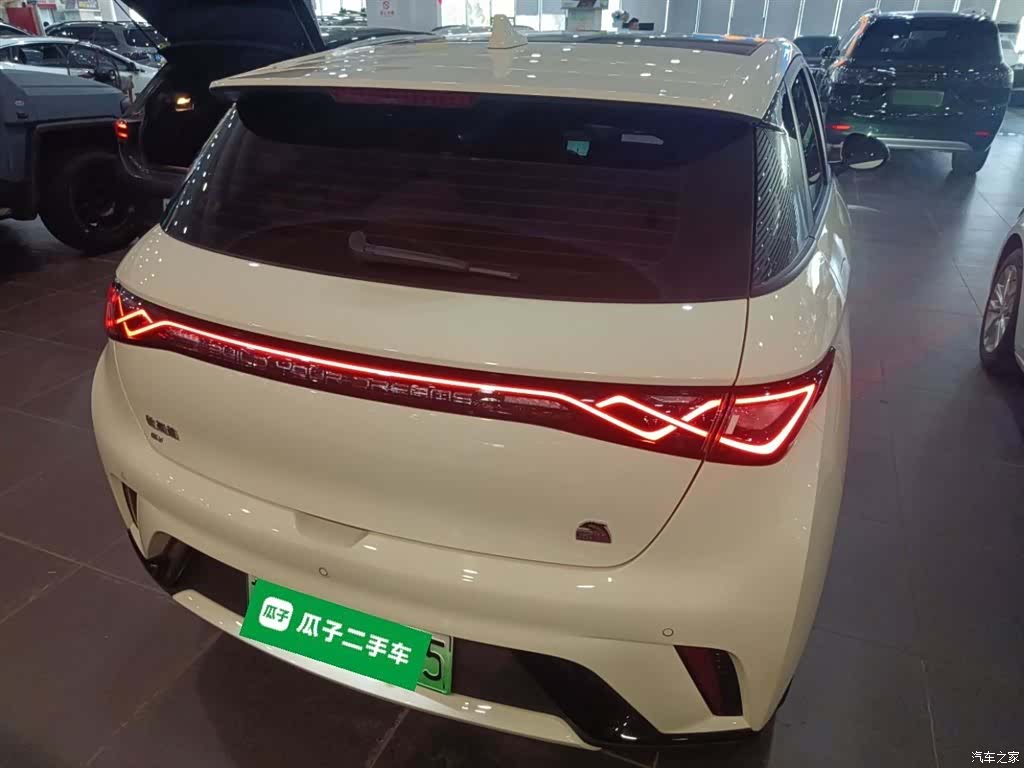 BYD Dolphin, 2023 4