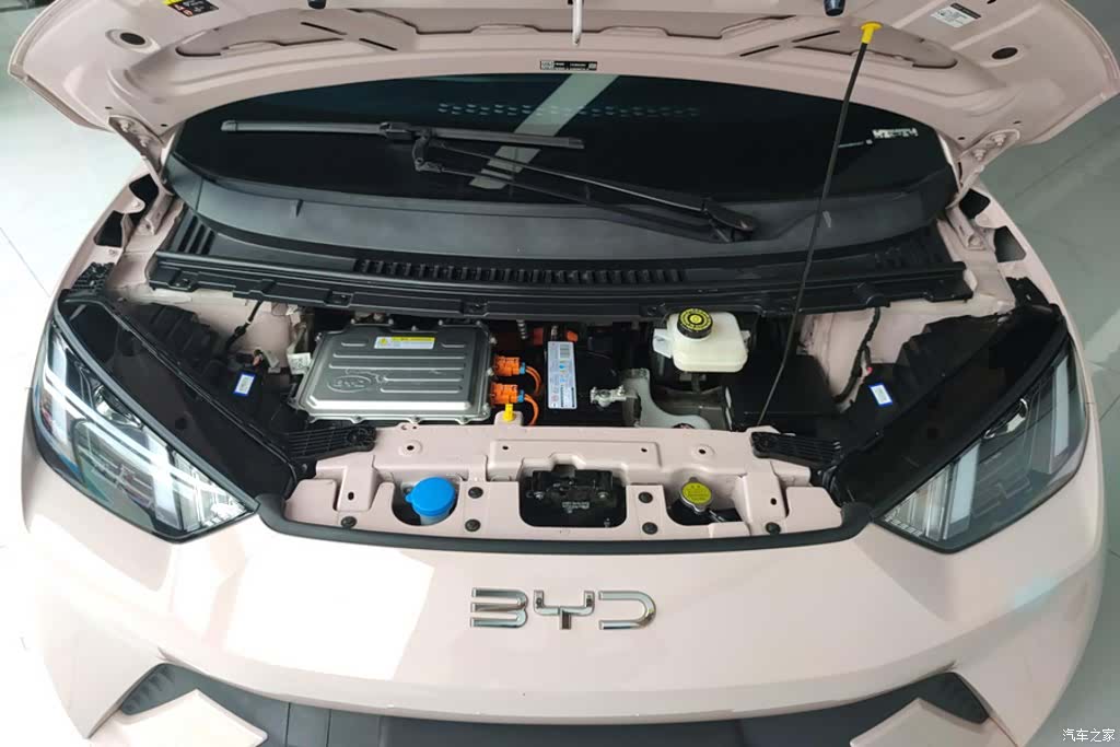 BYD Seagull, 2024 10