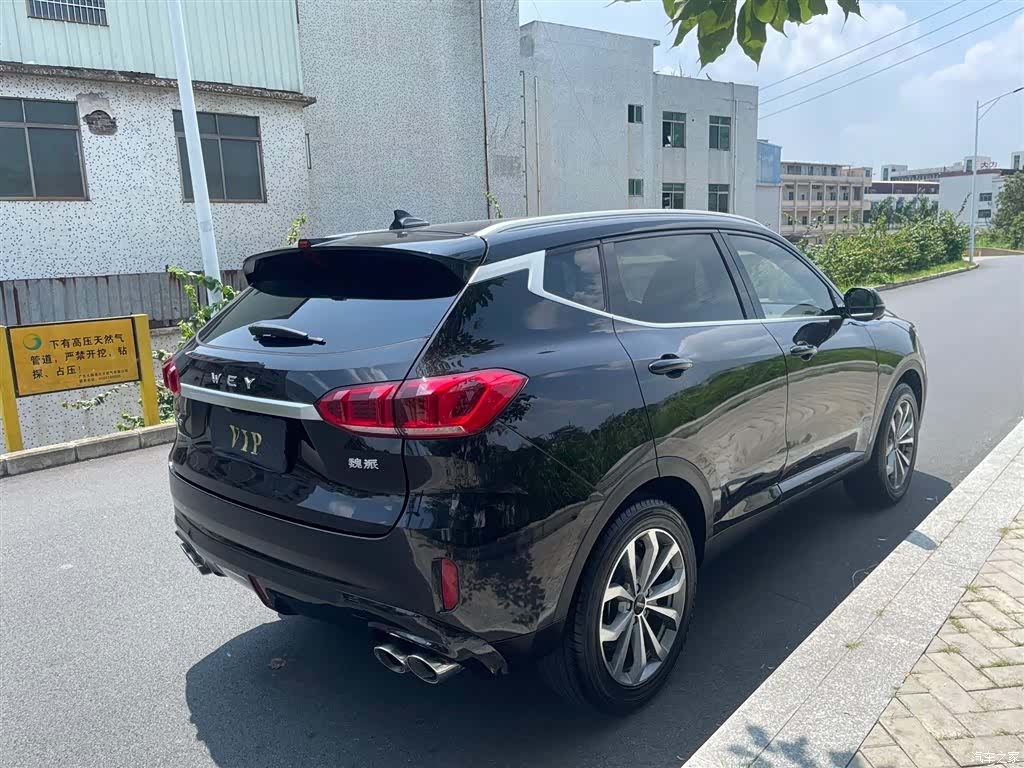 WEY VV6, 2019 3