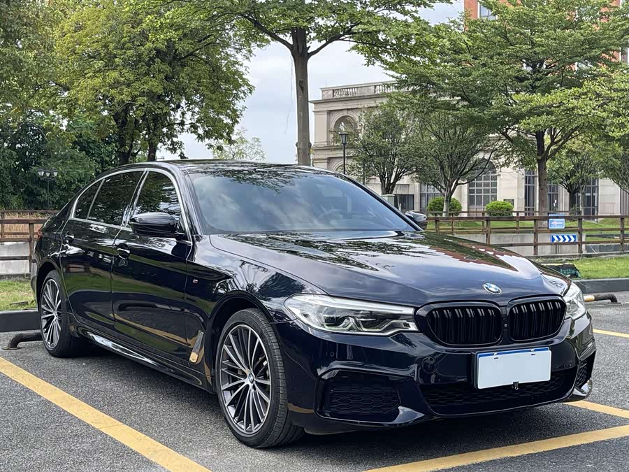 BMW 5 Series 2020, фото 3