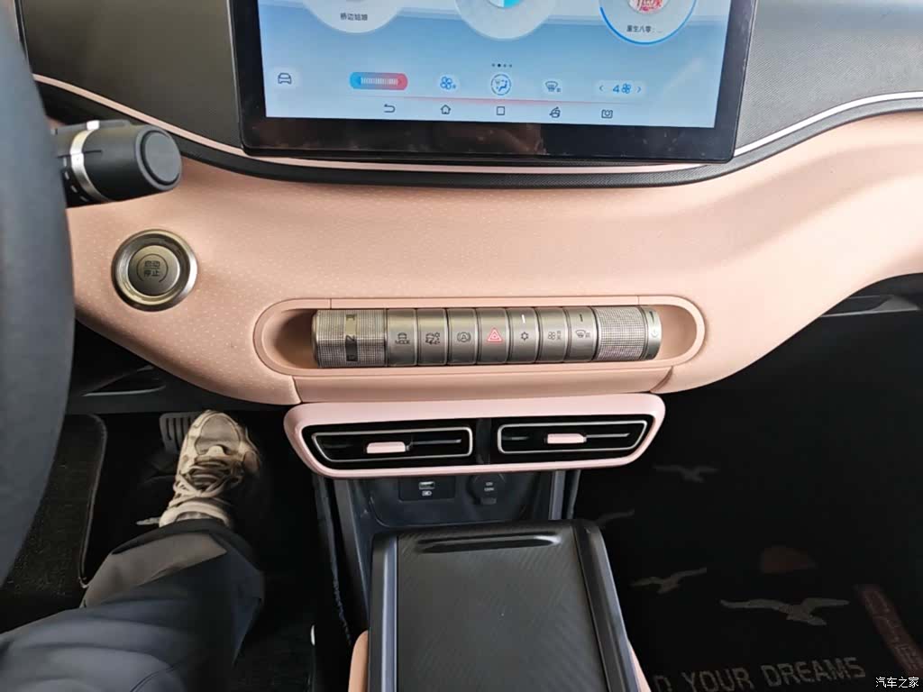 BYD Seagull, 2023 14