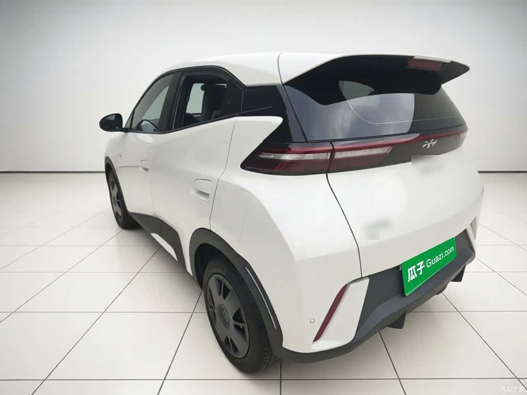 BYD Seagull, 2025 4