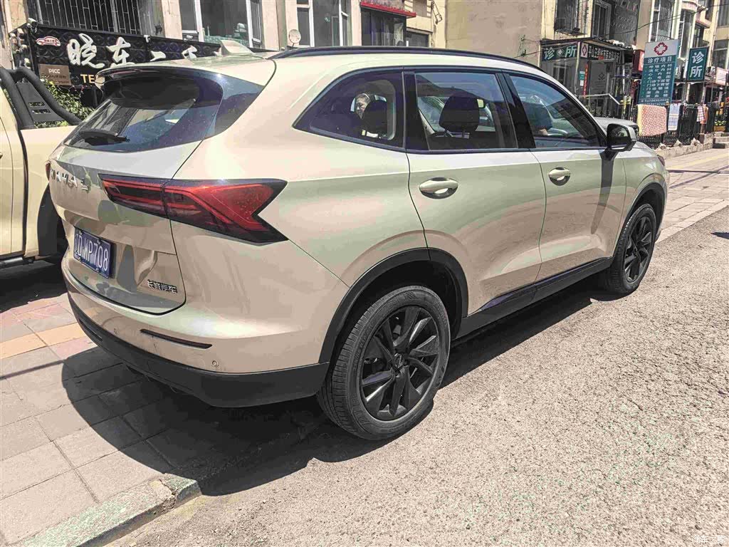 Haval H6, 2024 все фото