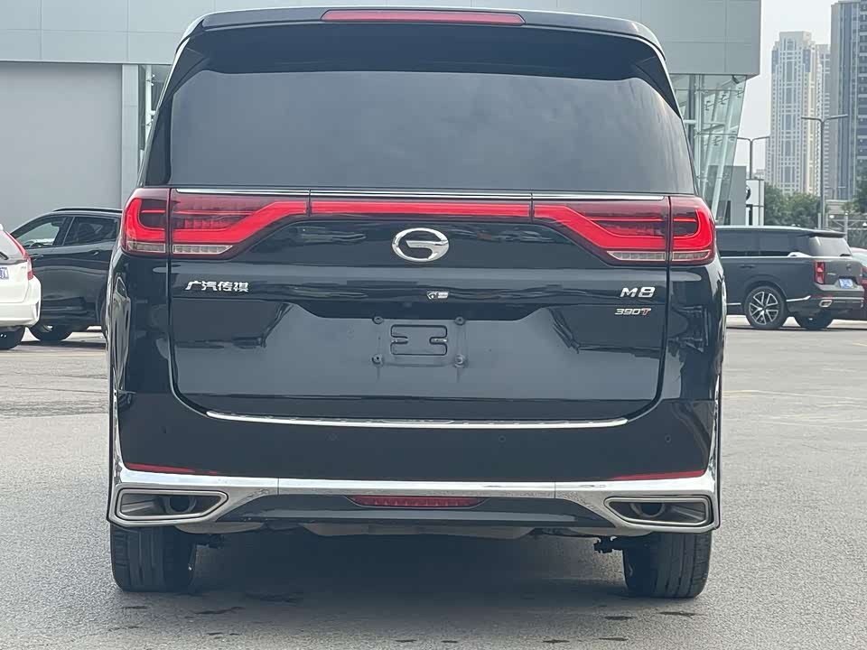 Trumpchi Trumpchi M8