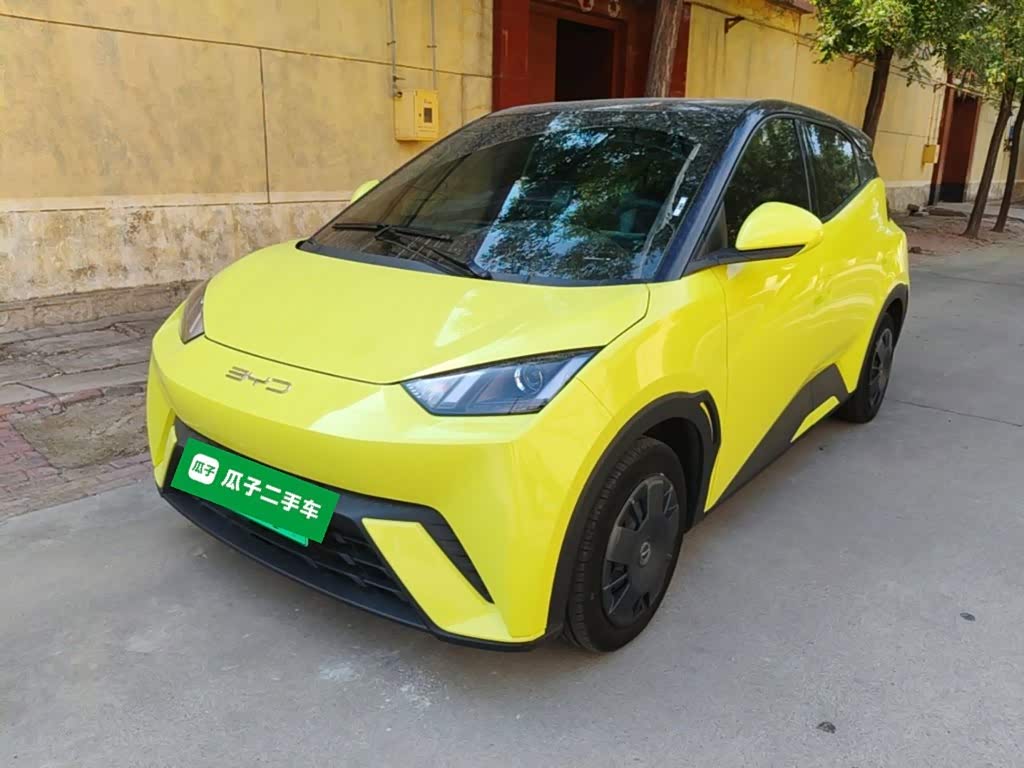 BYD Seagull