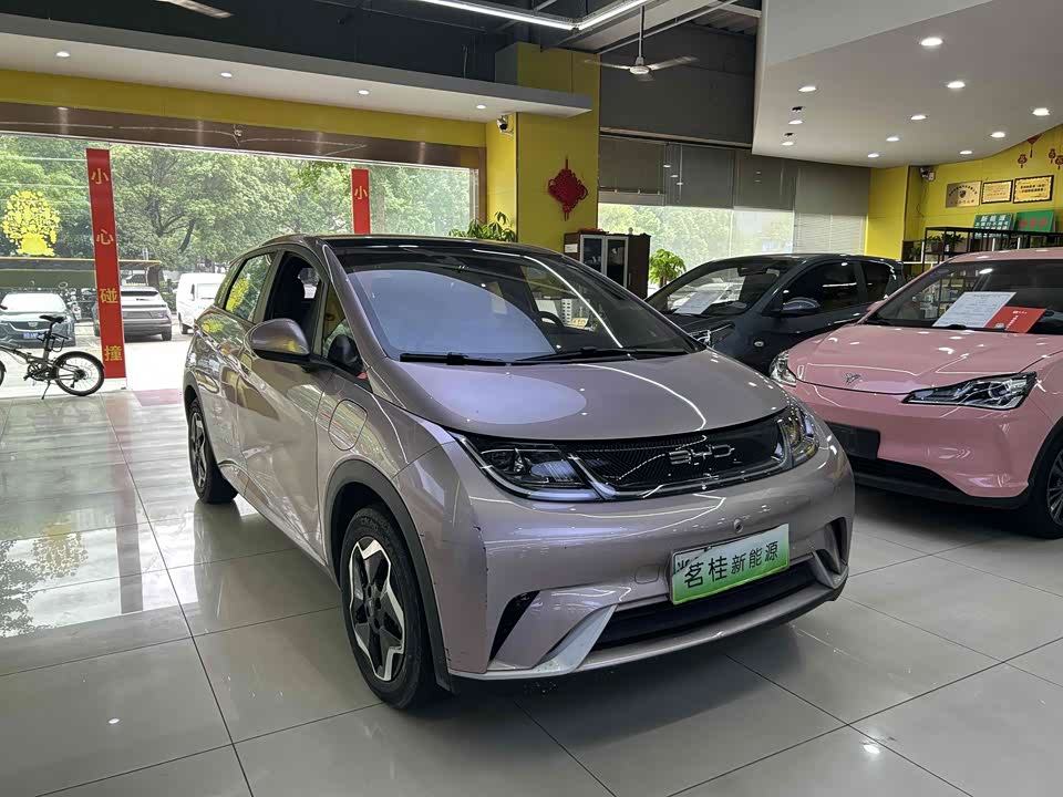 BYD dolphin