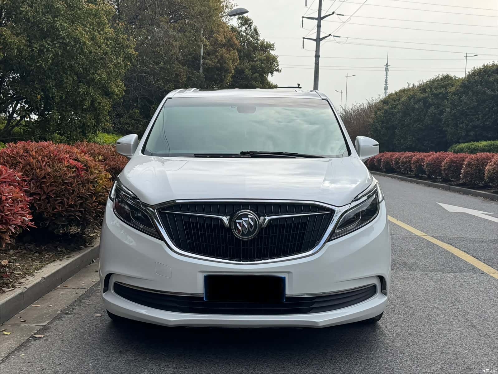 Buick GL8, 2019 2