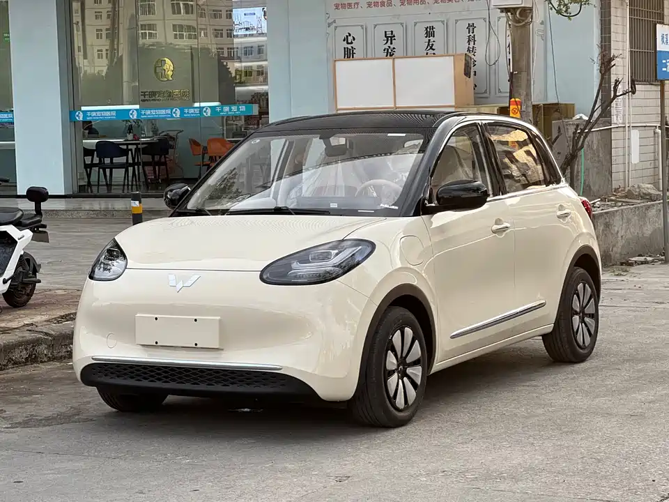 Wuling Wuling Bingguo