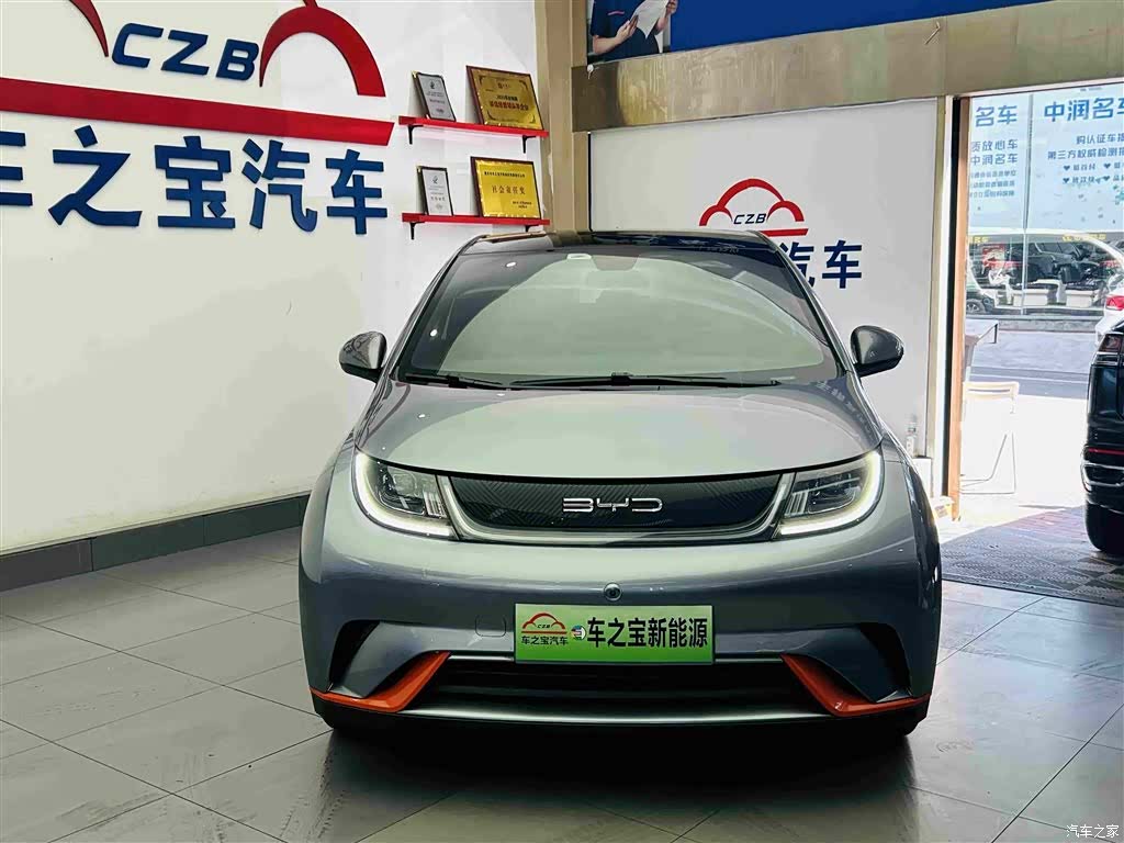BYD Dolphin, 2022 2