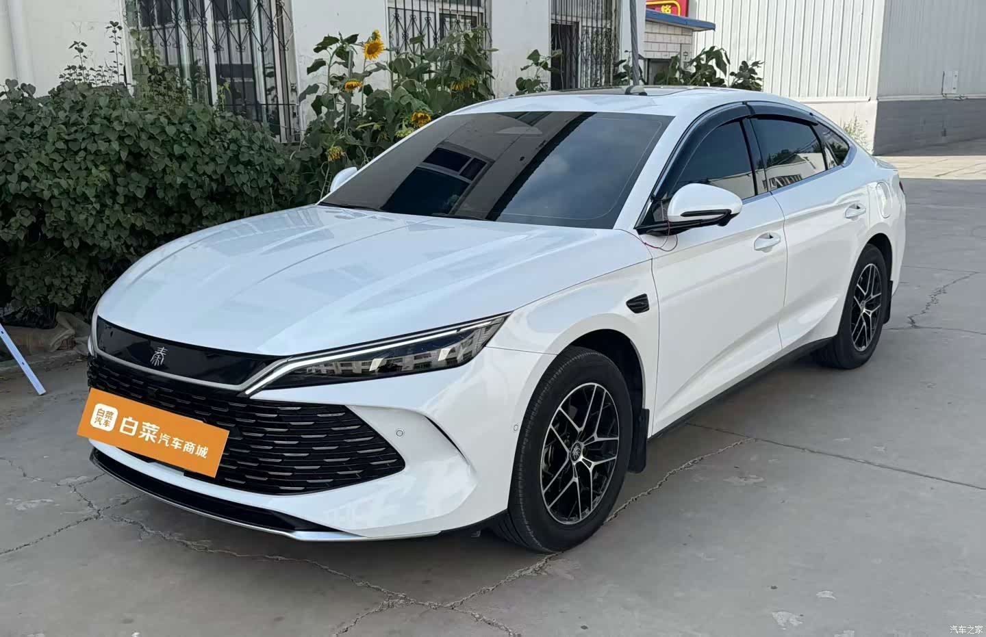 BYD Qin, 2026 1