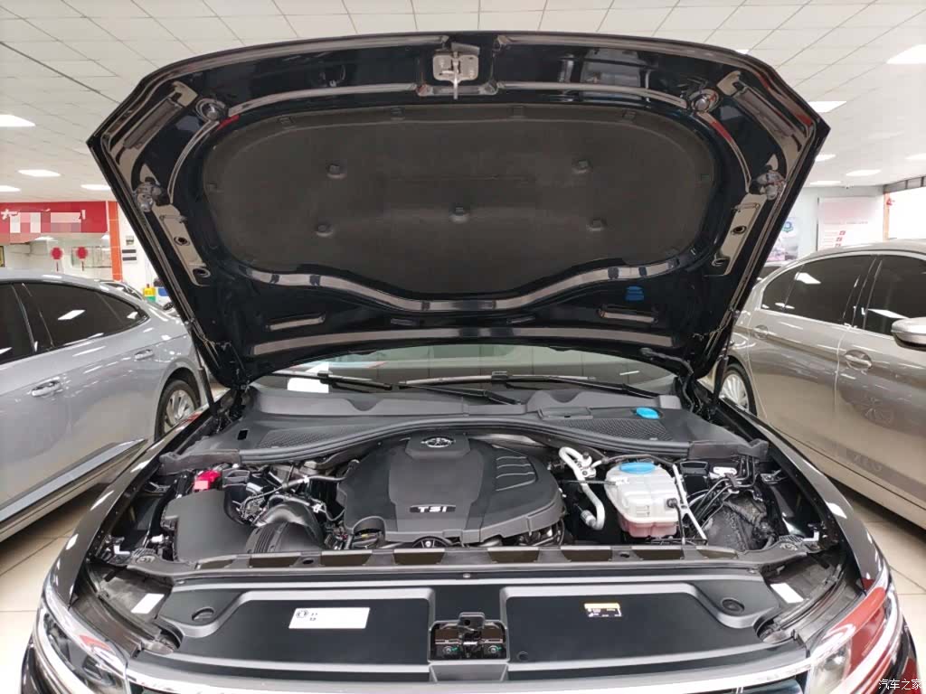 Volkswagen Phideon, 2023 16