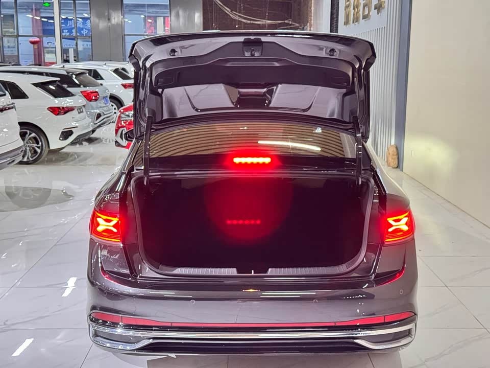 Volkswagen Sagitar