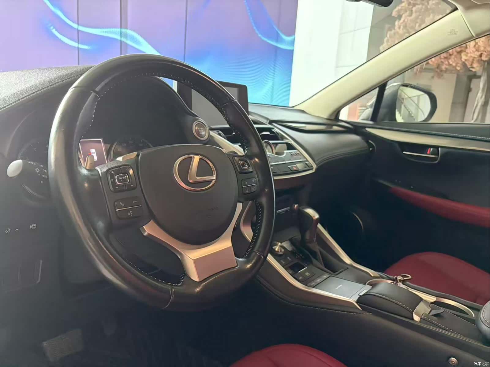 Lexus NX, 2019 10