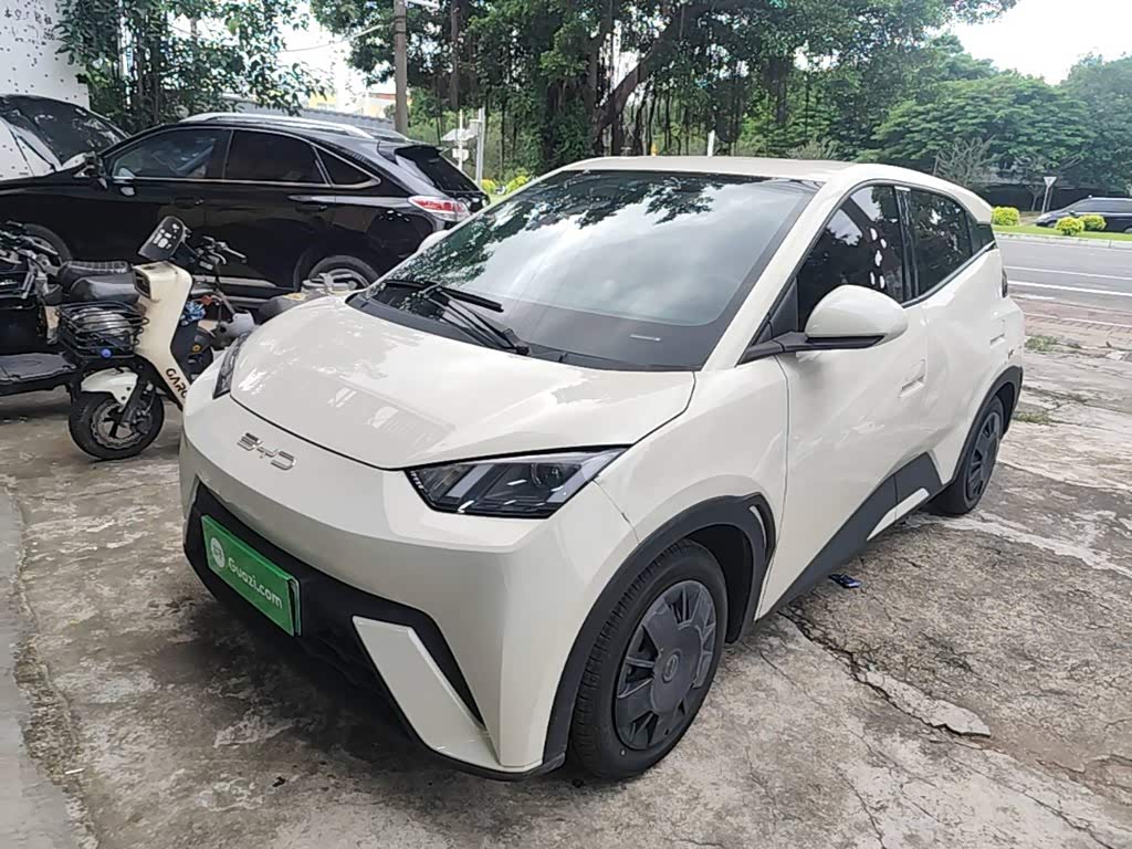 BYD Seagull