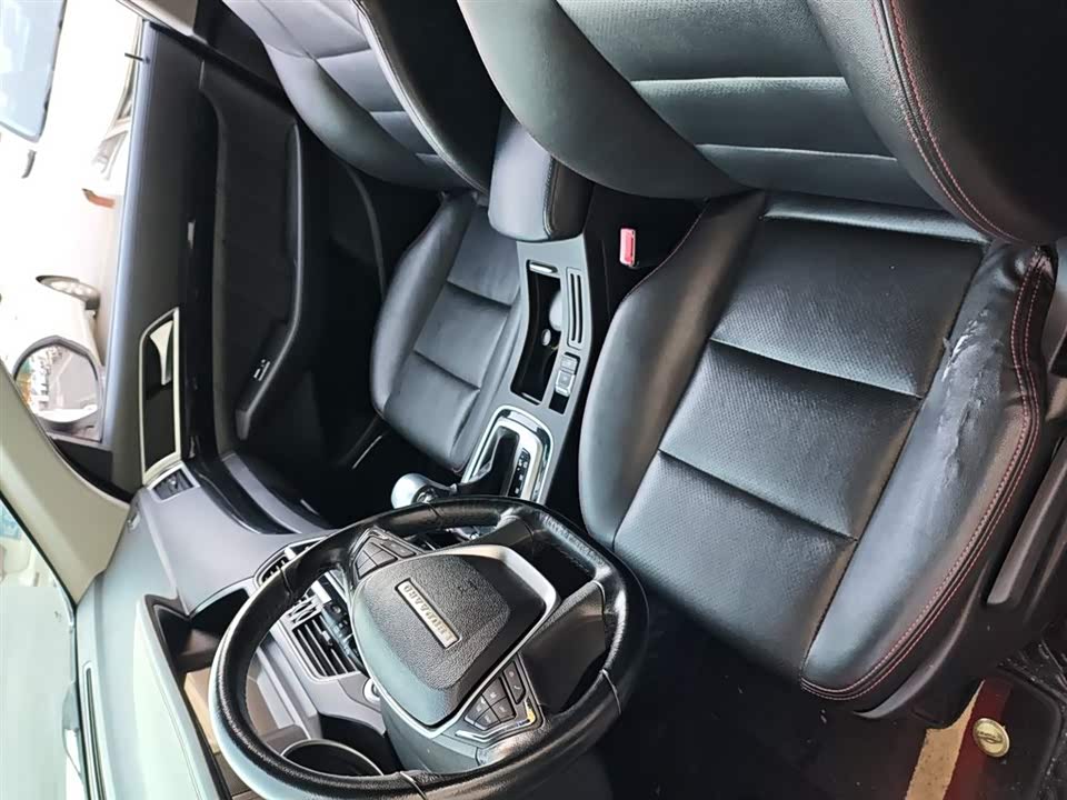 Leopaard Cheetah CS10