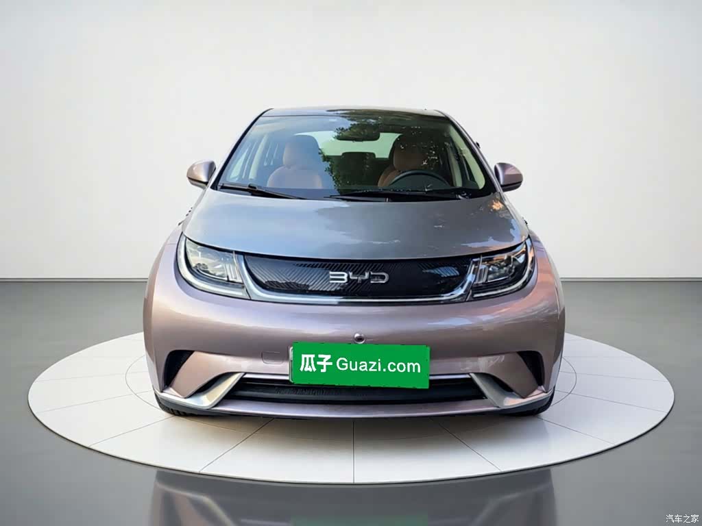 BYD Dolphin, 2021 24