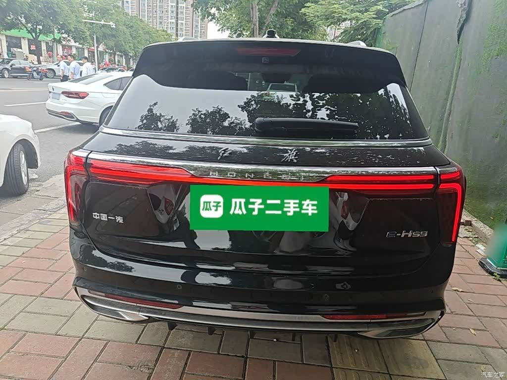 Hongqi E-HS9, 2023 6