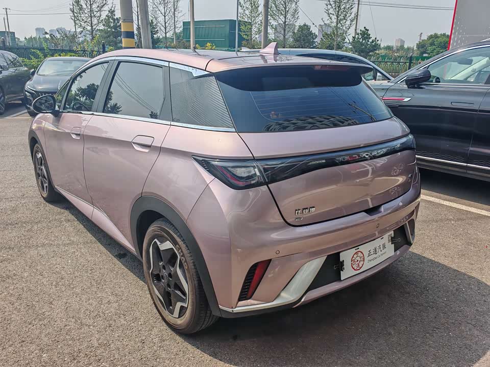 BYD dolphin