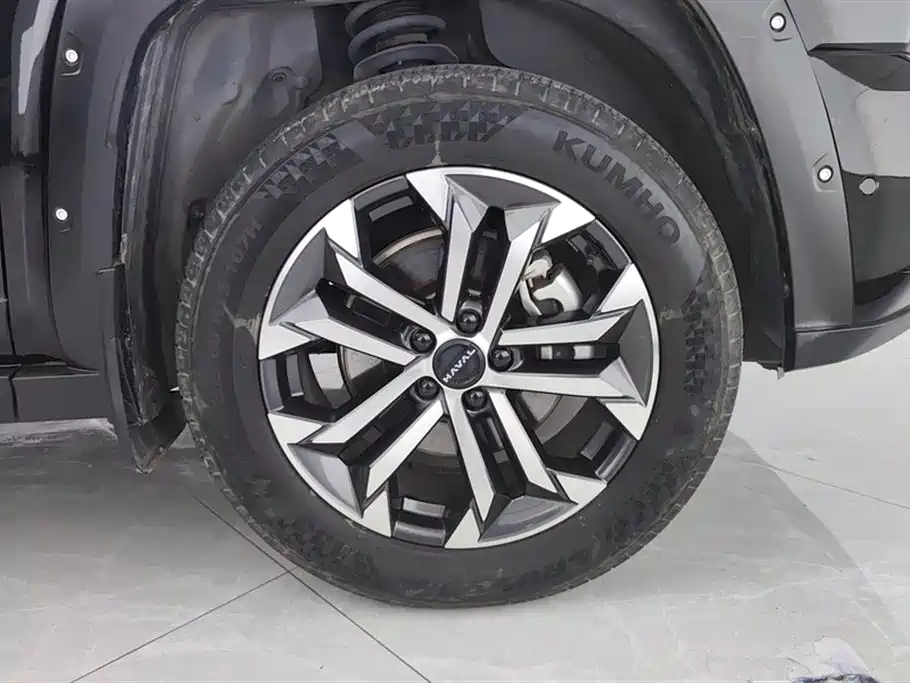 Haval Second-generation big dog