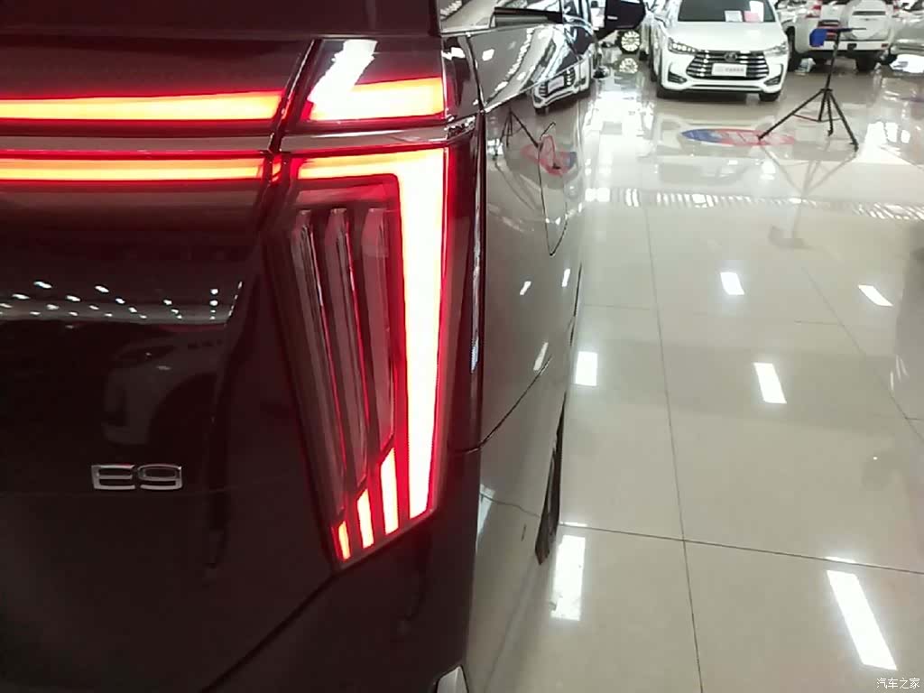 Trumpchi E9, 2024 8