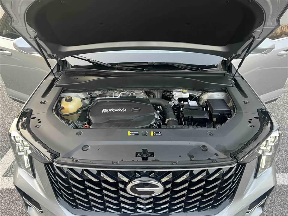 Trumpchi Trumpchi GS8