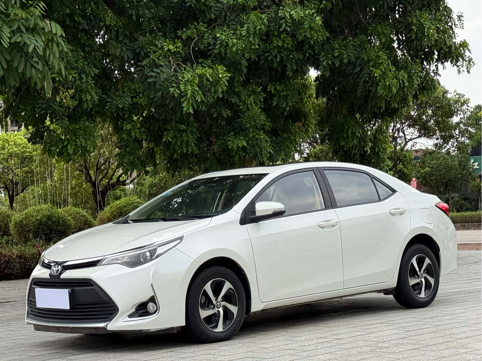 Toyota Levin