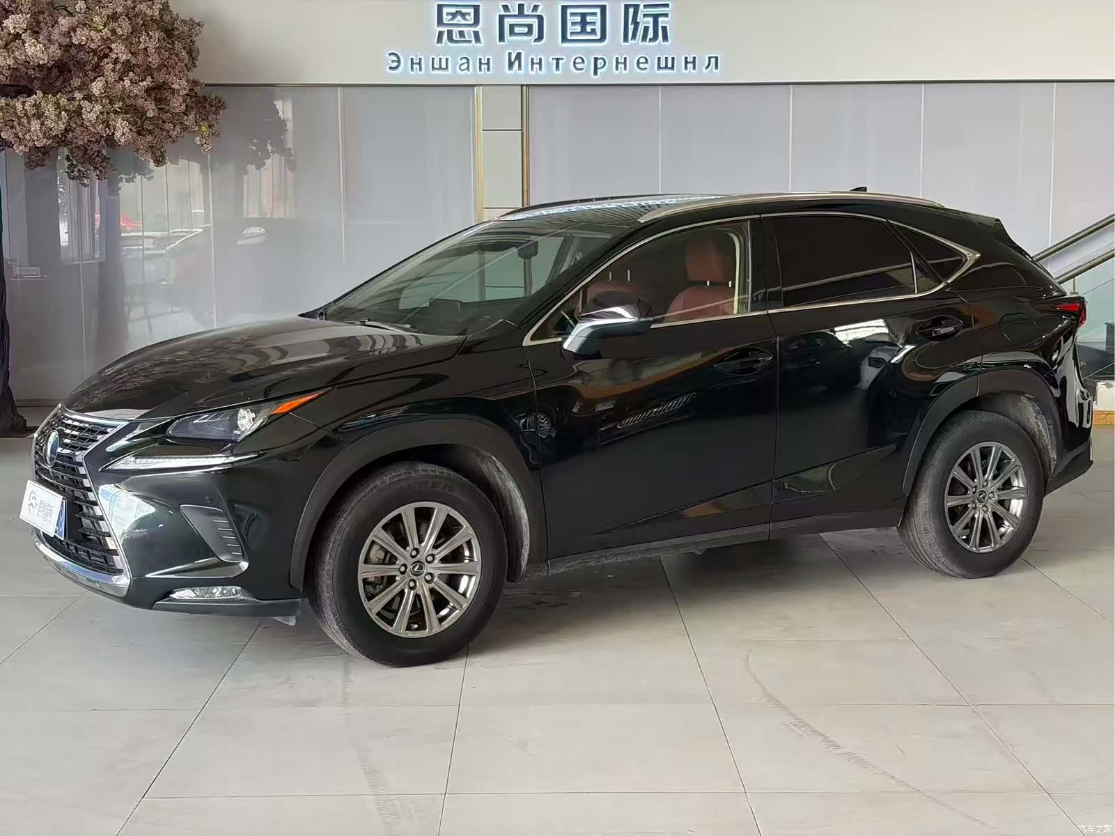 Lexus NX, 2019 1