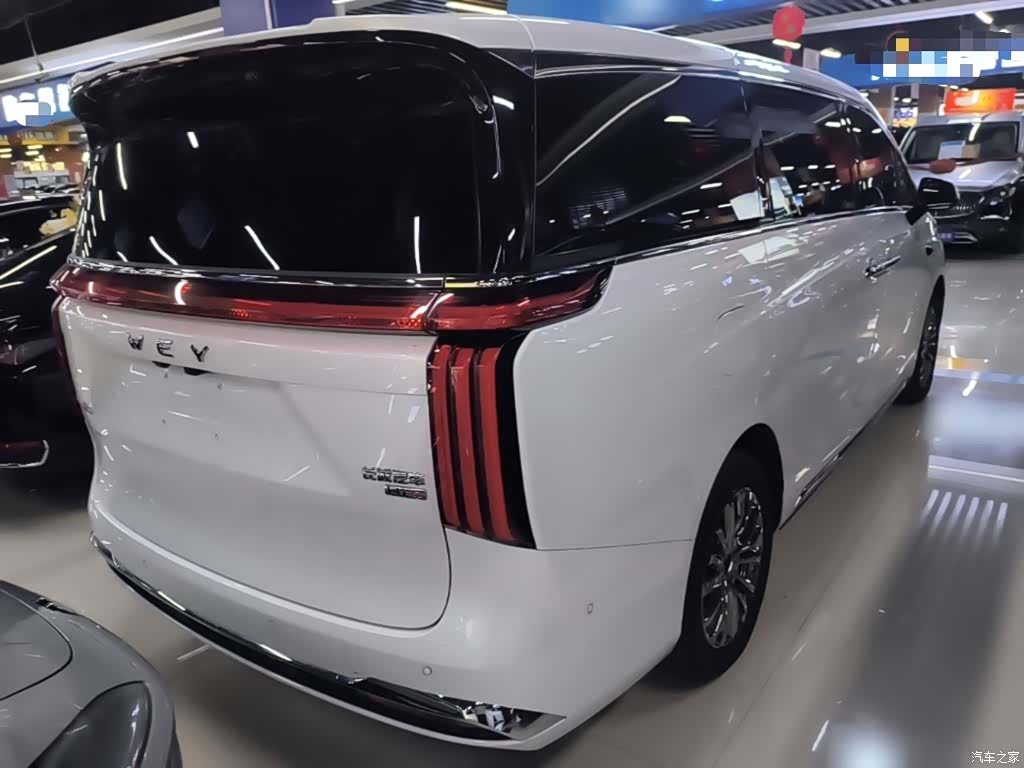 WEY Gaoshan, 2025 7