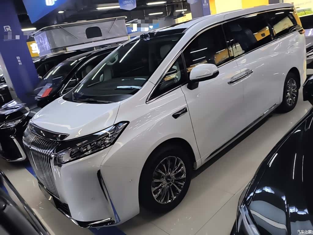 WEY Gaoshan, 2025 1