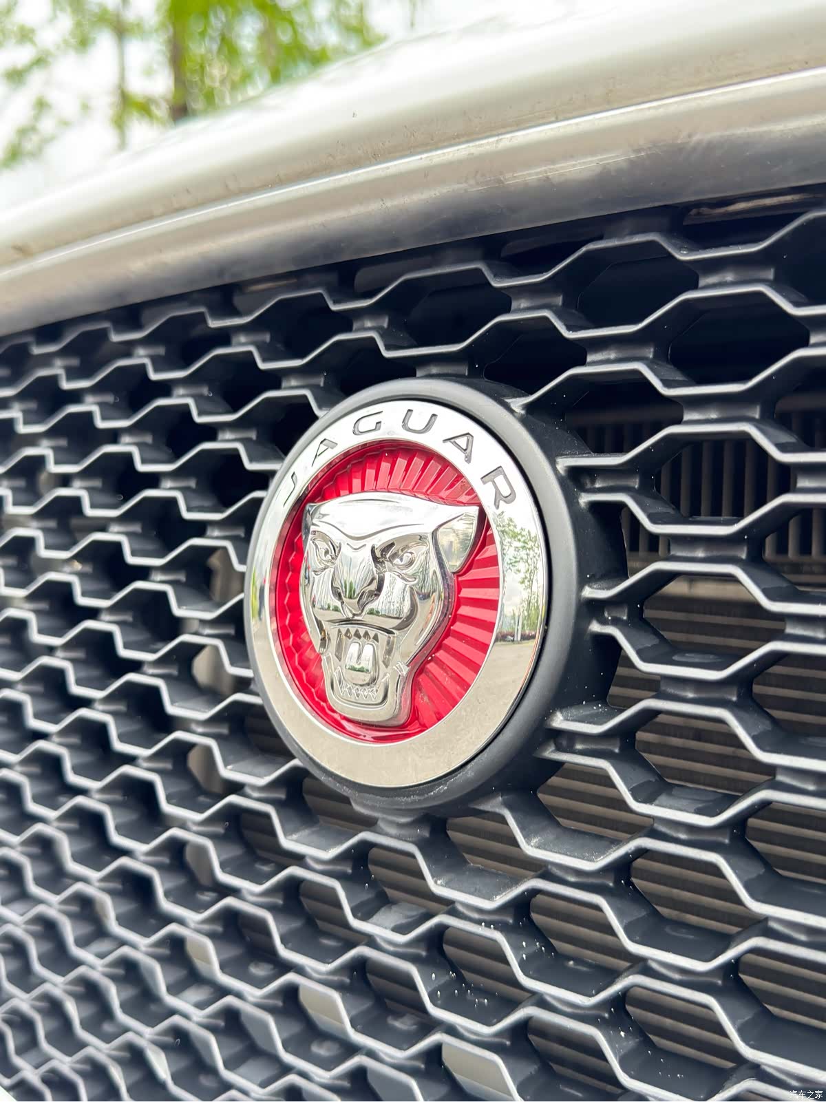 Jaguar F-PACE, 2017 25
