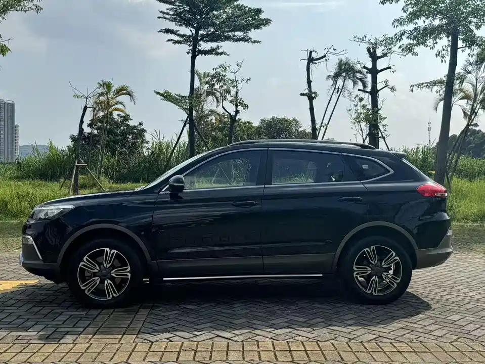 Leopaard Cheetah CS10