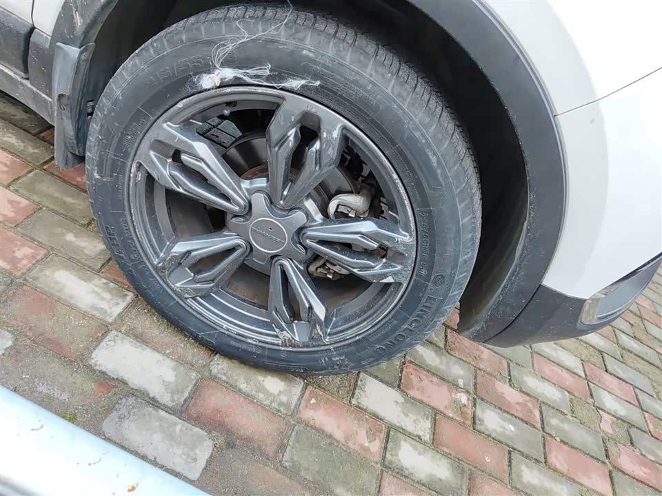 Leopaard Cheetah CS9