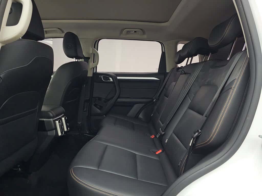 Haval Big Dog, 2023 13