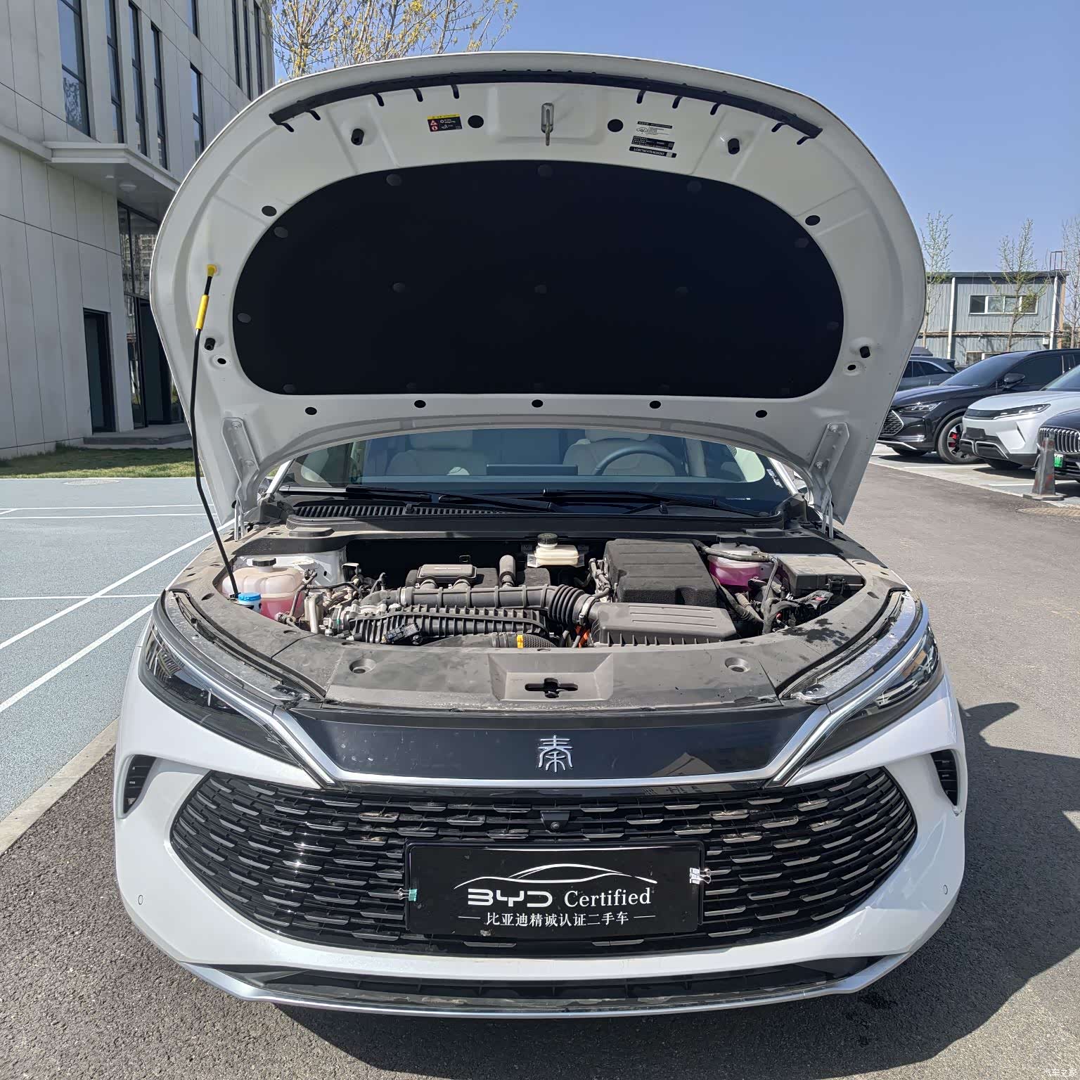 BYD Qin, 2024 2