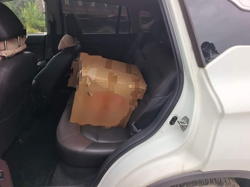 Trumpchi Trumpchi GS4 Trumpchi Trumpchi GS4