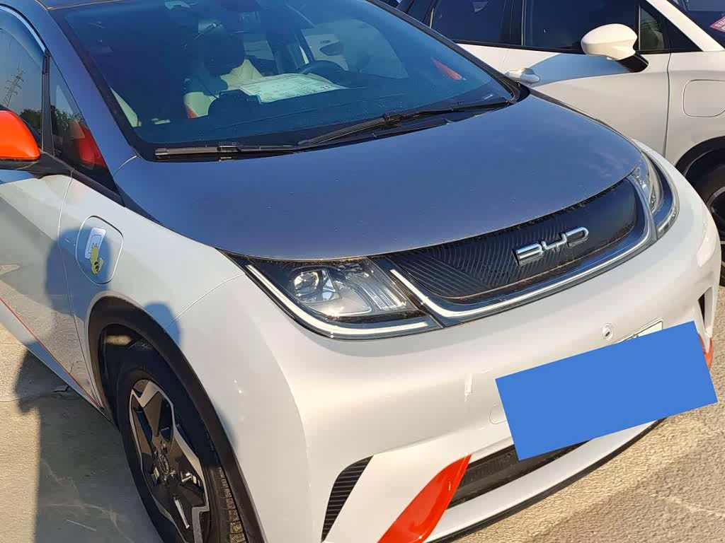 BYD Dolphin
